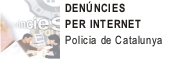 Denúncies per internet